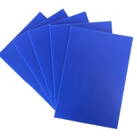 Vente en gros Feuille vierge 4x8 Feuille de polypropylène Panneaux en plastique ondulé Feuille de corex