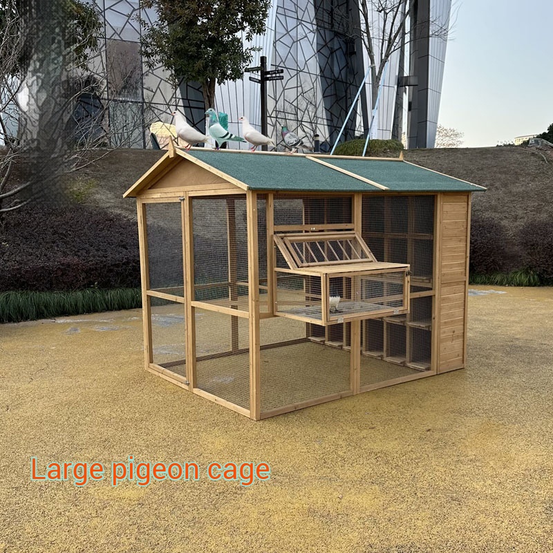 homing pigeon nest boxes