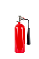 Bouteille de CO2 vide DOT 3AL 10LB à prix avantageux