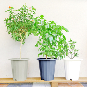 Grand pot de fleurs en plastique de 10 L pour plantes d'intérieur et d'extérieur, pot de fleurs rond moderne pour jardin, balcon, patio, décoration de la maison, ivoire Glory - Product Image 6