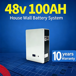 Batería de Litio LFP de 48V 100ah 5kWh para Montaje en Pared, Precio DDP Ex-fábrica, Batería de Litio para <span class=keywords><strong>Powerbank</strong></span> - Product Image 1