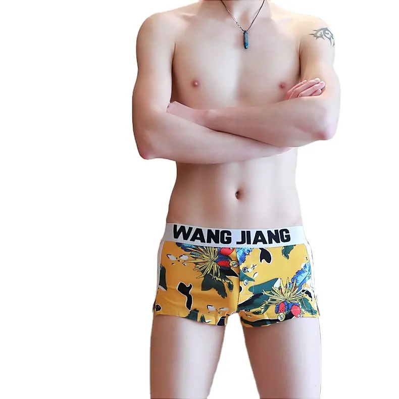 Custom Printed Mesh Fabric Young Boy Men Sexy Underwear Boxer Or Briefs