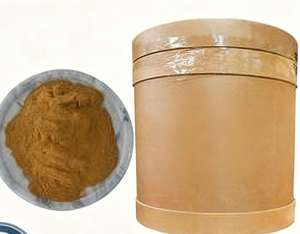 Doğal bitkisel takviyeler Cimicifuga Racemosa özü tozu karayılan otu özü - Product Image 2