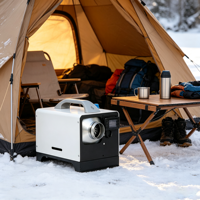 Chauffage diesel 12V/24V/220V avec écran LCD, chauffage rapide, appareil de chauffage portable adapté aux camions et aux camping-cars