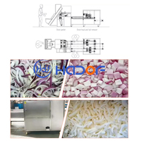 Automatische Productielijn Van Bevroren Groenten Fruit En Groente Iqf Bevroren Machine/Voedsel Bevriezing Productielijn