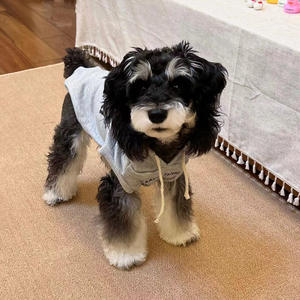 शरद ऋतु सर्दियों के कैजुअल कुत्ते कपड़े पॉलिएस्टर फ्लेक्स-लाइन पर्यावरण के अनुकूल हुडी स्वेटशर्ट xl आधुनिक अक्षर schnazer पश्चिम हाइलैंड - Product Image 2