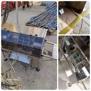 การออกแบบใหม่เชิงพาณิชย์เปลือกสแตนเลสเครื่องปอกอ้อยอัตโนมัติ<span class=keywords><strong>เครื่อง</strong></span>กําจัดผิวอ้อย - Product Image 5