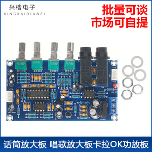 Placa de Reverberación para Karaoke XH-M173, Amplificador de Micrófono, Módulo de Preamplificador de Audio para Micrófono Dinámico de 2.0 Canales - Product Image 5