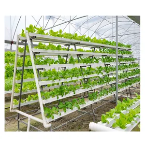 绿叶蔬菜水培NFT垂直生长系统