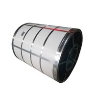 Bobine d'acier galvanisé prépeint à chaud PPGI EN 10169 DX51D+Z, bobine d'acier revêtu de couleur pour la construction de toitures et de murs