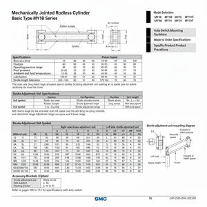 Cilindro sin vástago SMC Pneumatics, cilindros articulados mecánicamente, categoría de producto - Product Image 1