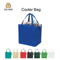 Bouteille de lait maternel en rotin de plage blanc doré fourre-tout souple emballage en feuille d'aluminium sacs isothermes isolés avec logo personnalisé pour les femmes