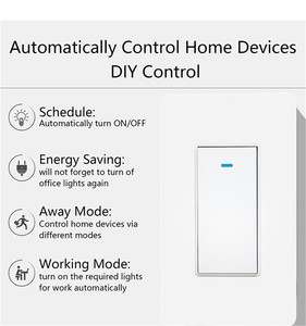 สวิตช์ไฟอัจฉริยะ WiFi แบบ 1 ทาง 220V US ใช้กับแอป Tuya ควบคุมผ่านเสียงด้วย Alexa และ Google Home รองรับ OEM ODM จากโรงงาน - Product Image 4