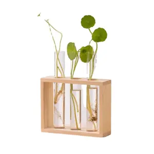 创意可挂壁式水培木架花瓶试管水文化绿色植物容器简易木架