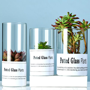 Vase en verre en pot à haute teneur en borosilicate cylindrique clair Pot de fleurs en verre d'<span class=keywords><strong>hydroculture</strong></span> succulente de Style européen nordique Simple - Product Image 3