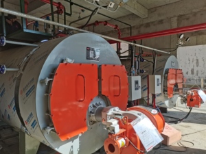 Vente directe usine CWNS1.05-85/60-YQ Chaudière écologique pour base d'élevage, <span class=keywords><strong>prix</strong></span> usine spécial bas pour les commandes en gros - Product Image 5