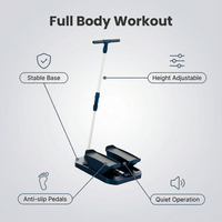 CZFIT Factory Stepper de fitness et yoga avec accoudoirs amovibles, machine à step portable, Stepper à marches, Appareil de fitness pour la force des jambes