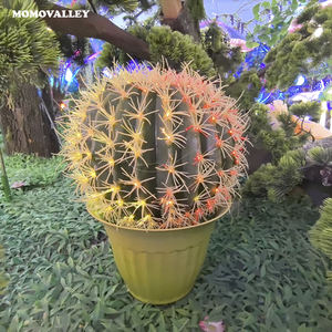 Lámpara <span class=keywords><strong>de</strong></span> decoración <span class=keywords><strong>de</strong></span> <span class=keywords><strong>Cactus</strong></span> Momovalley LED Glow Ball, iluminación única inspirada en el desierto para interiores y exteriores, <span class=keywords><strong>luz</strong></span> creativa, temas <span class=keywords><strong>de</strong></span> naturaleza - Product Image 4