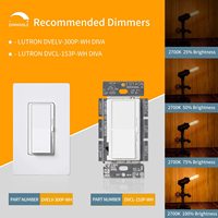 Tubulaire Vintage T30 4W LED Edison Ampoules Dimmable LED Filament Ampoule Industrielle Lampe Décorative 110V/220V CE PSE ROHS
