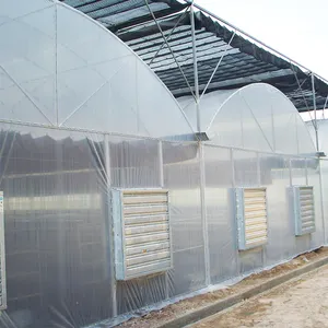 Serra de tomate do túnel alto barato, uv protegido, filme multi span, greenhouse, multi-span, filme hidropônico