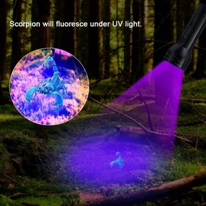 <span class=keywords><strong>Lampe</strong></span> torche UV <span class=keywords><strong>portable</strong></span> à 51 LED, <span class=keywords><strong>lumière</strong></span> <span class=keywords><strong>noire</strong></span> 395NM, mini <span class=keywords><strong>lampe</strong></span> torche pour les taches d'urine d'animaux, lampes torche à <span class=keywords><strong>lumière</strong></span> <span class=keywords><strong>noire</strong></span> - Product Image 3