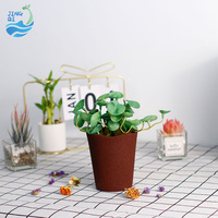JingQi Grosir Kreatif Murah Pot Bunga Batu Vulkanik Bulat Kecil Dekoratif Dalam Ruangan Taman