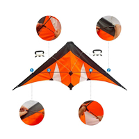 Cerf-volant de sport portable en forme de delta, personnalisé en usine, avec cadre en fibre de verre, facile à piloter, double ligne, pour cascades en extérieur, 123x54cm YUANFEI