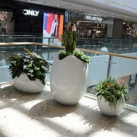 Maceta de Fibra de Vidrio Yuwei Yuwei-F en Forma de Huevo, Acabado Tallado a Mano, Diseño Moderno y Ecológico, Duradera, para Interiores/Exteriores