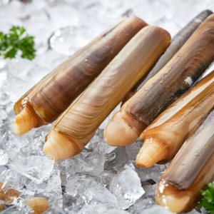 Coquillages de bambou, fruits de mer frais, viande de coquillages, morsure moelleuse et croquante, fruits de mer naturels pour la cuisine, grillades, cuisson à la vapeur, sautés, restaurant, usage domestique - Product Image 2