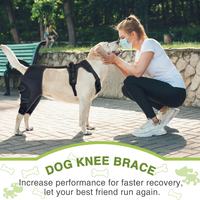 Attelle de soutien pour genou de chien, protection de la patte, stabilisateur articulaire de rééducation avec harnais pour la marche post-chirurgicale