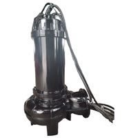 Pompe submersible de levage d'eaux usées verticale supportée par OEM pompe centrifuge d'eaux usées d'eau sale de Wq