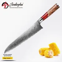 Japanse Stijl Damascus Staal Koksmes Klein Huishoudelijk Keukenmes Hoge Scherpte Voor Het Snijden Van Sushi Groenten Gemaakt Hars