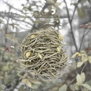 Thé en vrac frais de jasmin chinois en forme d'aiguilles d'argent pour la santé, en sachet - Product Image 2