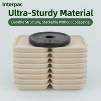 Boîte à emporter Interpac en bagasse 8x8 pouces, 1 compartiment, écologique, en fibre de canne à sucre, pour emballage de salades et de plats rapides