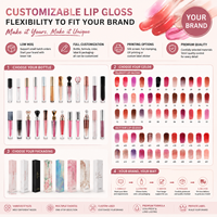 OEM ODM Marque Privée - Gloss à Lèvres Naturel Longue Durée pour Maquillage Quotidien - Plusieurs Couleurs - Tubes Variés - Emballages Divers