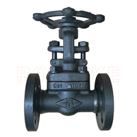 Katup Gerbang Manual Flens Baja Tempa Standar Z41H/Y-150LB API