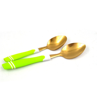 Ensemble de 5 couverts pas chers en acier inoxydable avec manche en plastique vert : couteau à steak, fourchette et cuillère