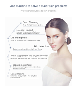 Embouts d'hydrodermabrasion 14 en 1, appareil d'hydrodermabrasion pour le visage, oxygénothérapie faciale, appareil d'hydro-oxygène pour le visage - Product Image 3