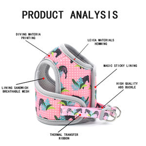 Arnés de nailon transpirable con cadena de correa de perro estilo deportivo de lujo personalizado para razas pequeñas y medianas Neopreno estampado a la moda para gatos - Product Image 3