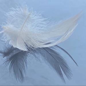 Productos textiles ultraprácticos para el hogar <span class=keywords><strong>Plumas</strong></span> de pato blanco Material relleno de <span class=keywords><strong>4</strong></span>-6cm Lavable a máquina - Product Image 3