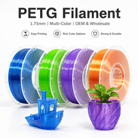 Filamen Printer 3D PETG 1kg 1.75mm 2.85mm Gulungan Plastik Vakum untuk Pencetakan FDM Suku Cadang Fungsional OEM Grosir