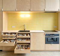 Ensemble d'armoires de cuisine sur mesure, cuisine avec rangement en hauteur pleine et four encastré pour appartement