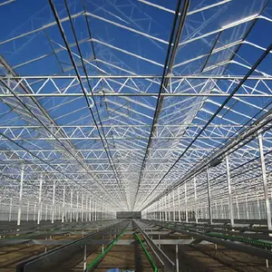 Polycarbonate Greenhouse Frame Structure With Good Price