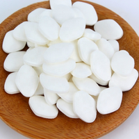 Fabricants de Compléments Alimentaires en Comprimés à Marque Blanche – Multivitamines et Vitamines en Comprimés