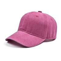 Kinderen Baseball Pet met Aangepaste Logo Borduring Gewassen Katoen 6-Panel Vintage Blank Dad Hat Kinderen Peuter Verstelbare Sport Zonnepet
