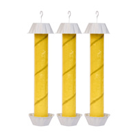 Piège à mouches des fruits horticoles en matériau PP, état de pulvérisation solide, papier collant pour insectes volants en extérieur, attrape-mouches pour les fermes
