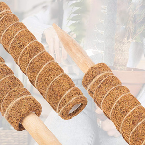 Poste de musgo extensible de 60 pulgadas Venta al por mayor de EE. UU.-Sphagnum para Monstera, Envío Gratis 3 días EE. UU. - Product Image 4