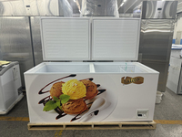 Congélateur Commercial Horizontal à Bas Prix 152L-1000L avec Porte Supérieure, Équipement de Réfrigération