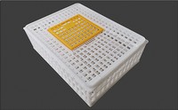 Cage de transport pour volailles en plastique PP jaune 75x55x27 cm, type H, capacité 12-15 poulets, état neuf, boîte de transport pour poulets vivants