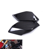 Panneau latéral de radiateur en fibre de carbone sèche de haute qualité pour BMW F900XR, pièces de modification de moto